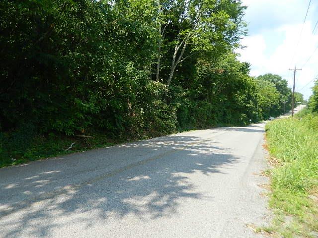 0 Bethesda Road College Grove, TN 37046 - Photo 2 of 3 Gallery Image 2