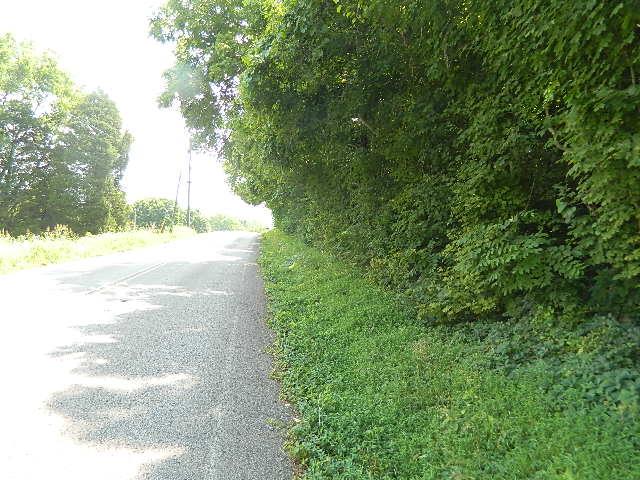 0 Bethesda Road College Grove, TN 37046 - Photo 3 of 3 Gallery Image 3