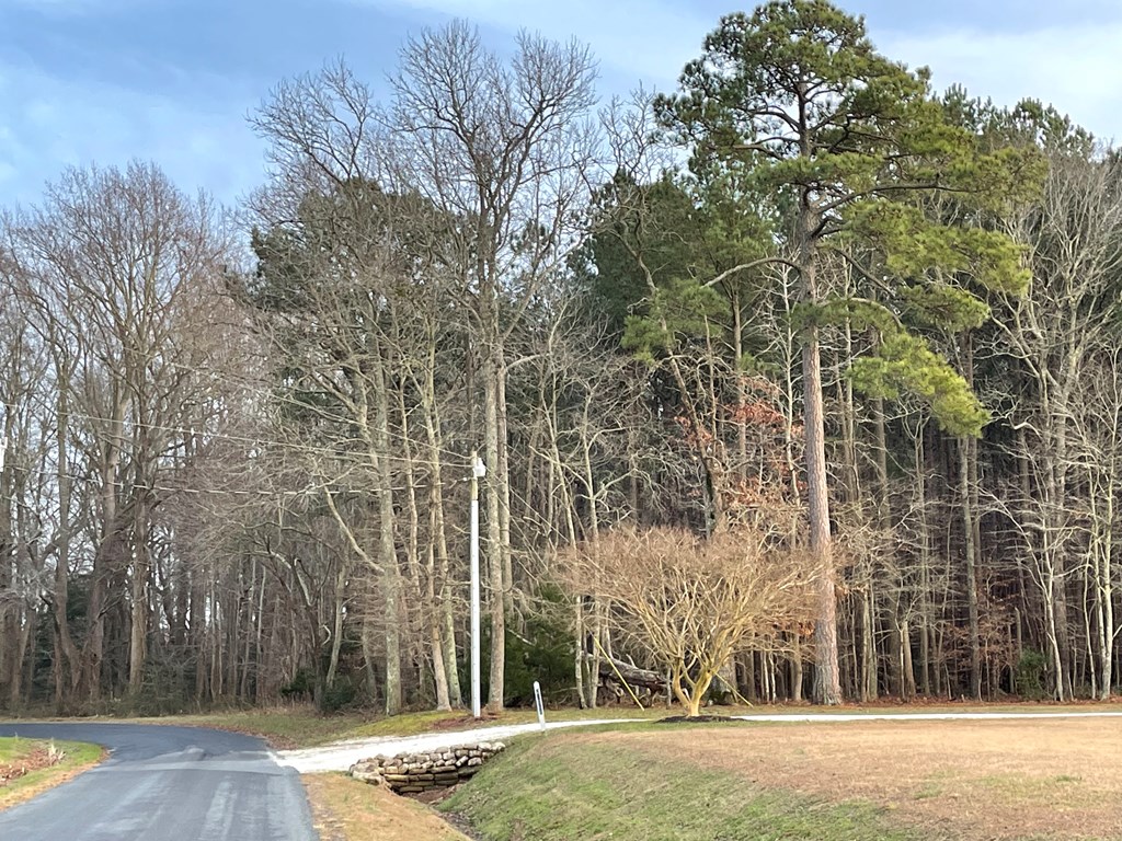 5-lots 5-lots Stone House Road Onley, VA 23418 - Photo 3 of 11