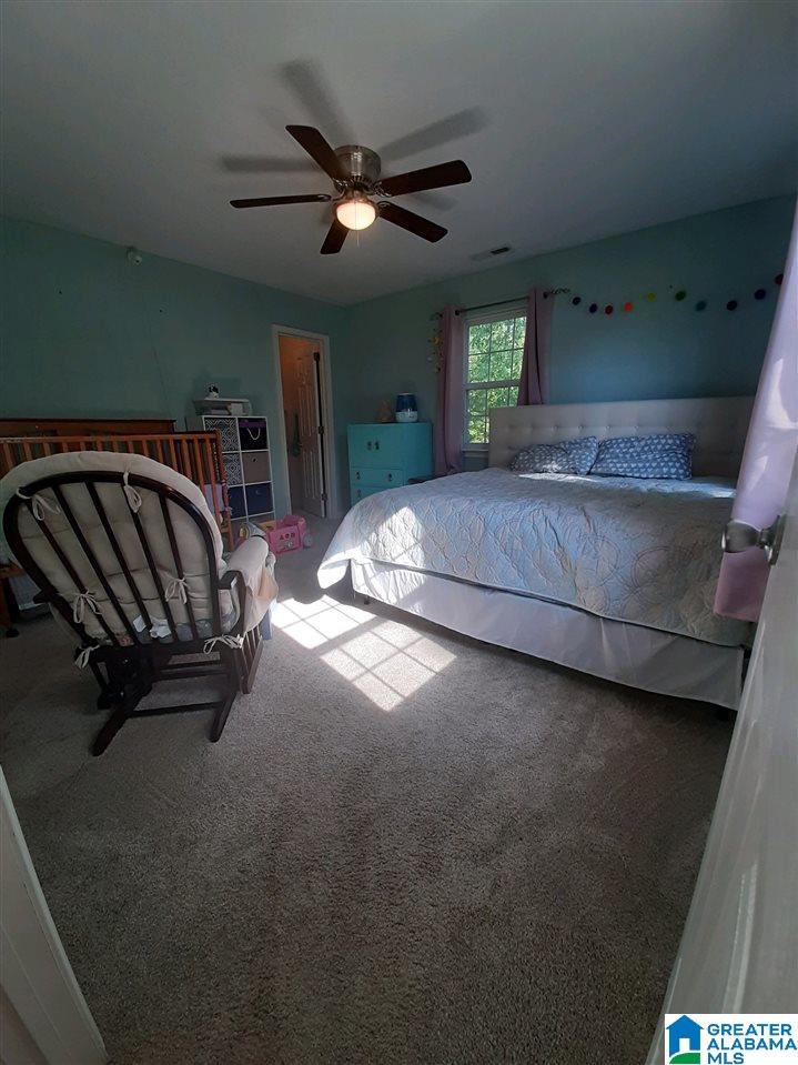 290 Hunter Ridge Lane Pell City, AL 35128 - Photo 30 of 34