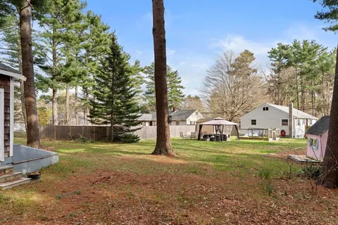 a view of a park with large trees