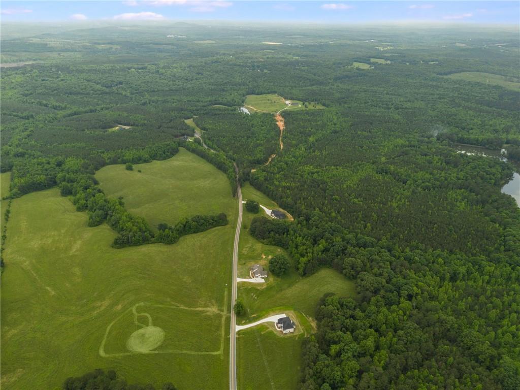 662 Lake Cir Road Buchanan, GA 30113 - Photo 4 of 62