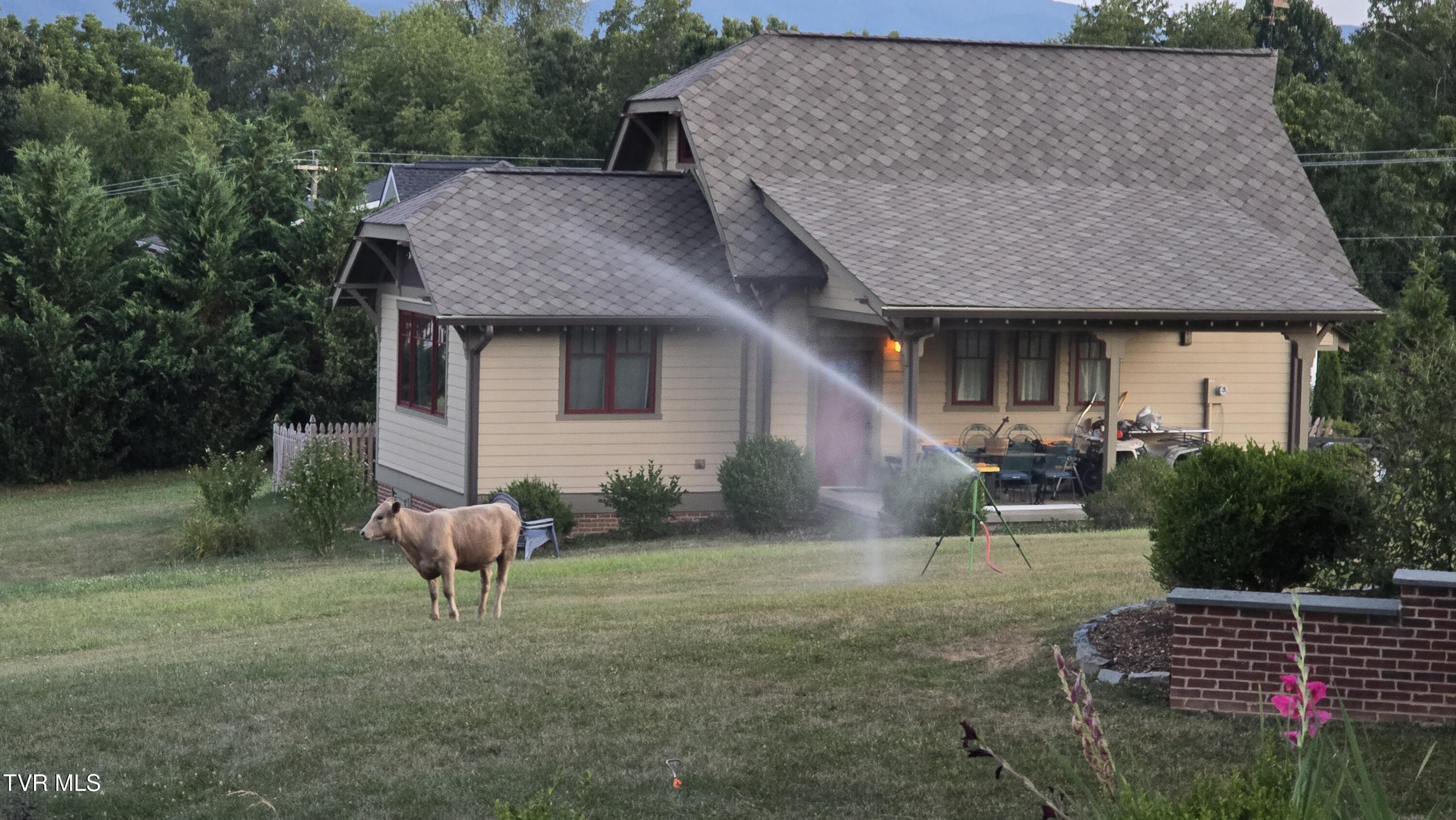 28120 Osceola Road Abingdon, VA 24211 - Photo 65 of 90 Workshop & Guest Cow