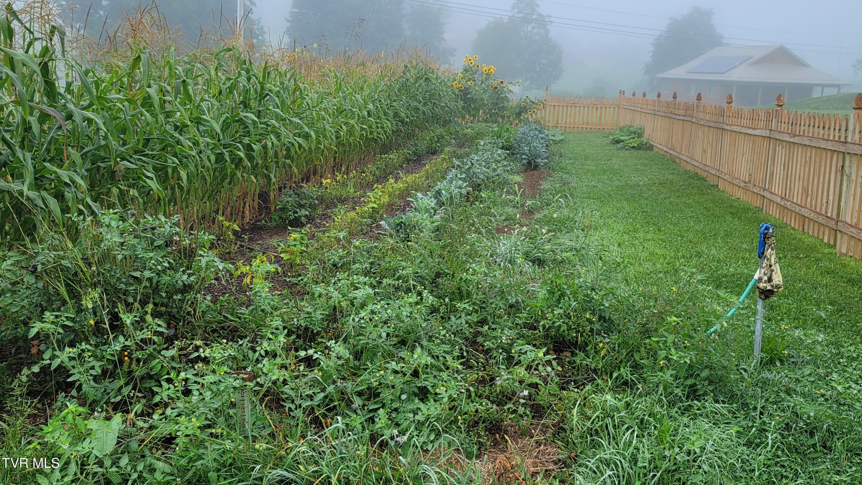 28120 Osceola Road Abingdon, VA 24211 - Photo 89 of 90 Garden 2