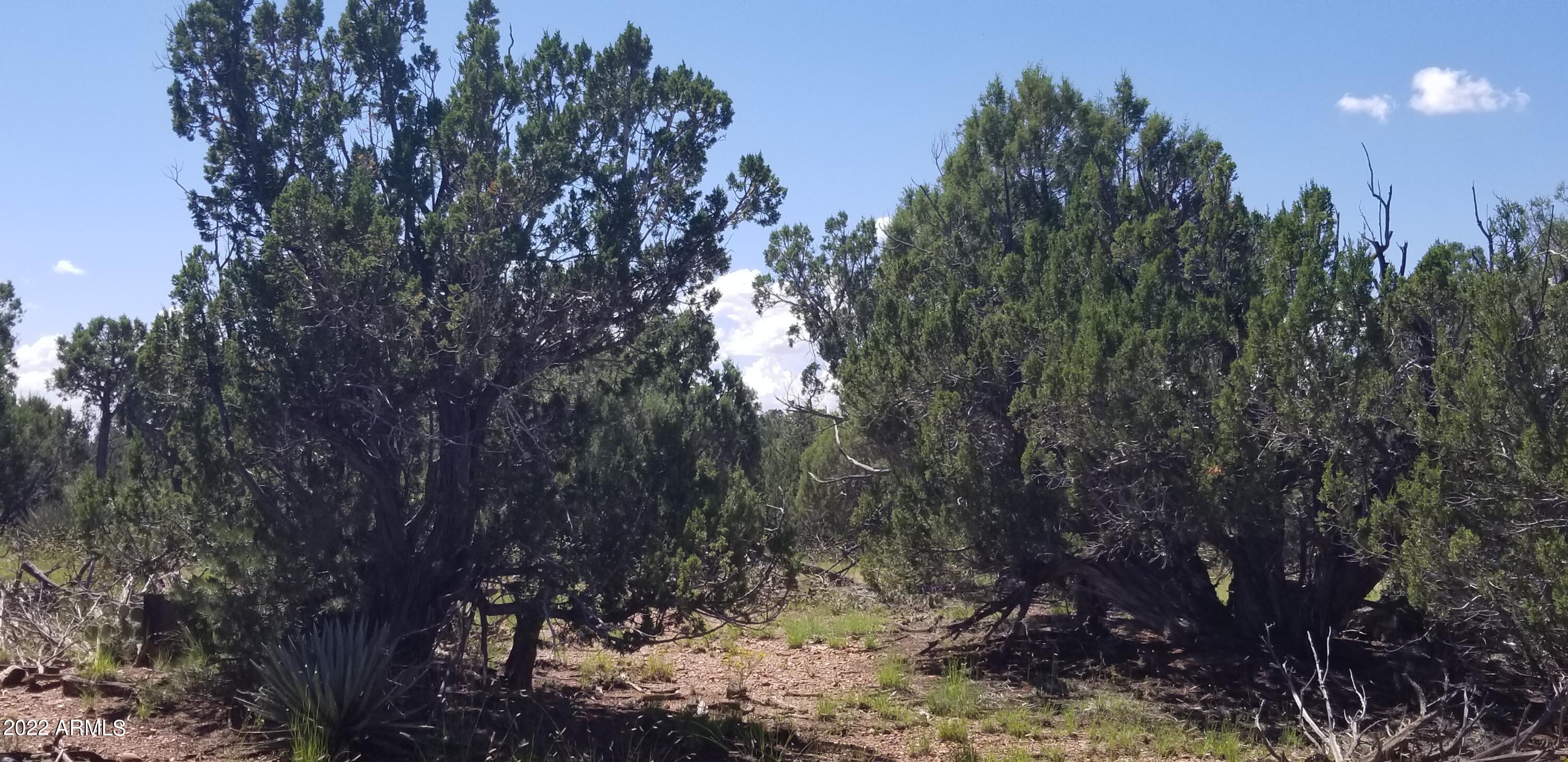 4953 Cemetery Road, Unit 4F Clay Springs, AZ 85923 - Photo 11 of 18 Views12