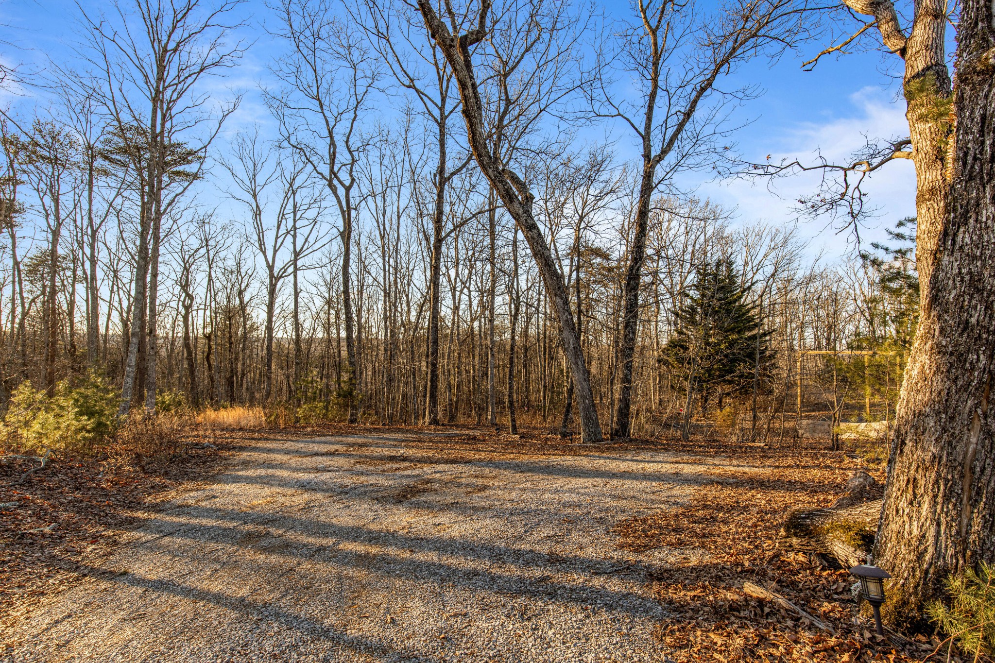319 Lookout Drive Rising Fawn, GA 30738 - Photo 96 of 100