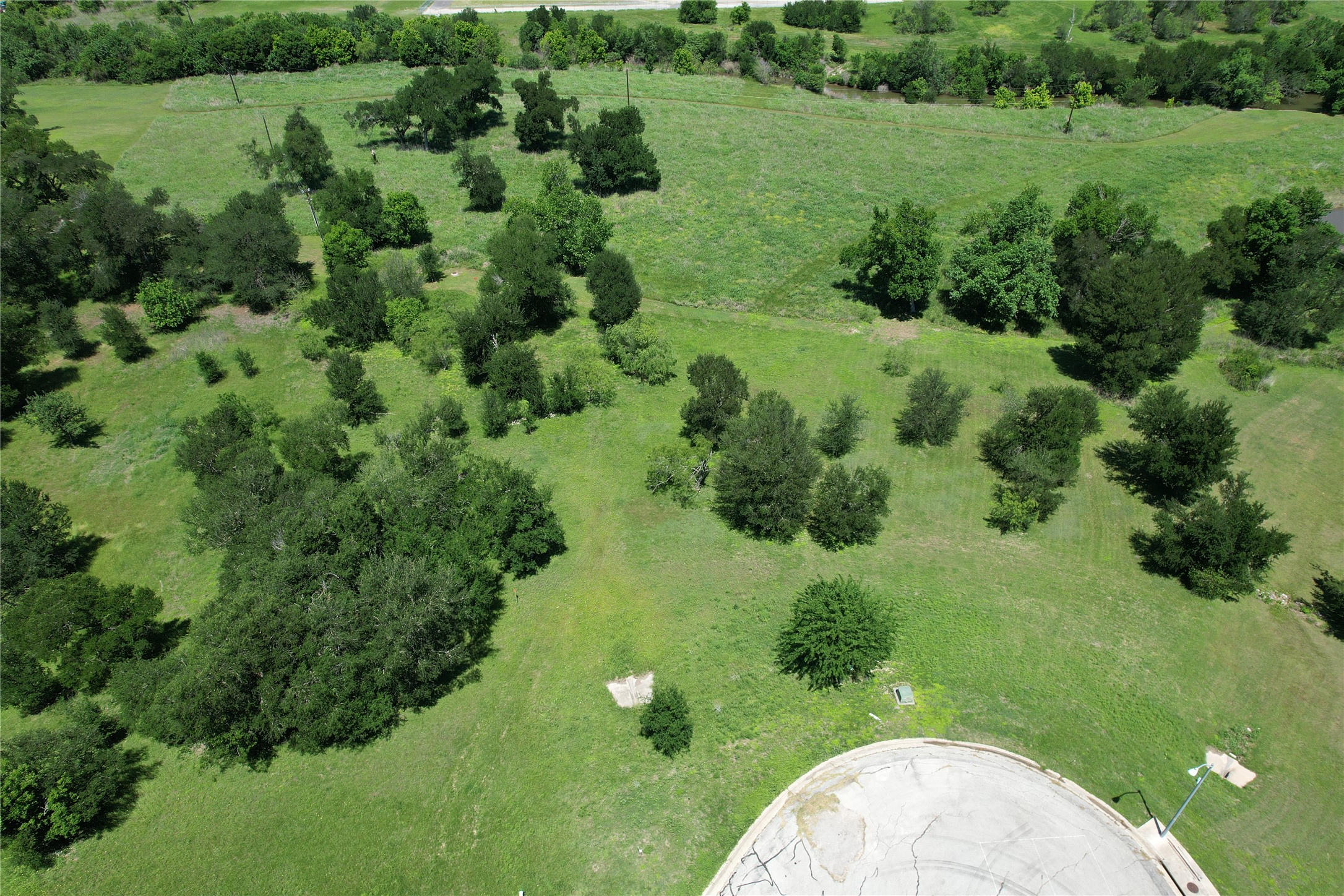 1700 Tanner Loop Taylor, TX 76574 - Photo 32 of 32 Expansive green space featuring scattered mature trees and varied foliage