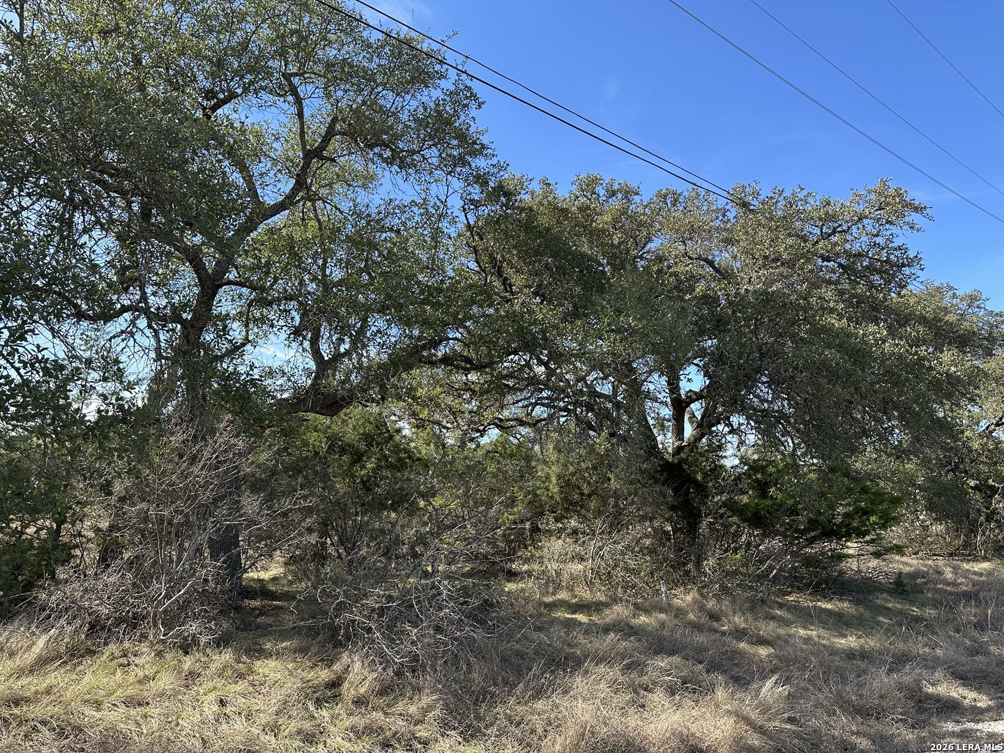 116 Ephram Mclane Blanco, TX 78606 - Photo 3 of 16 a view of a yard with a tree