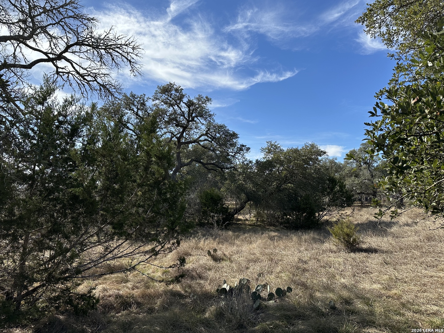 116 Ephram Mclane Blanco, TX 78606 - Photo 5 of 16 a view of mountain view with outdoor space