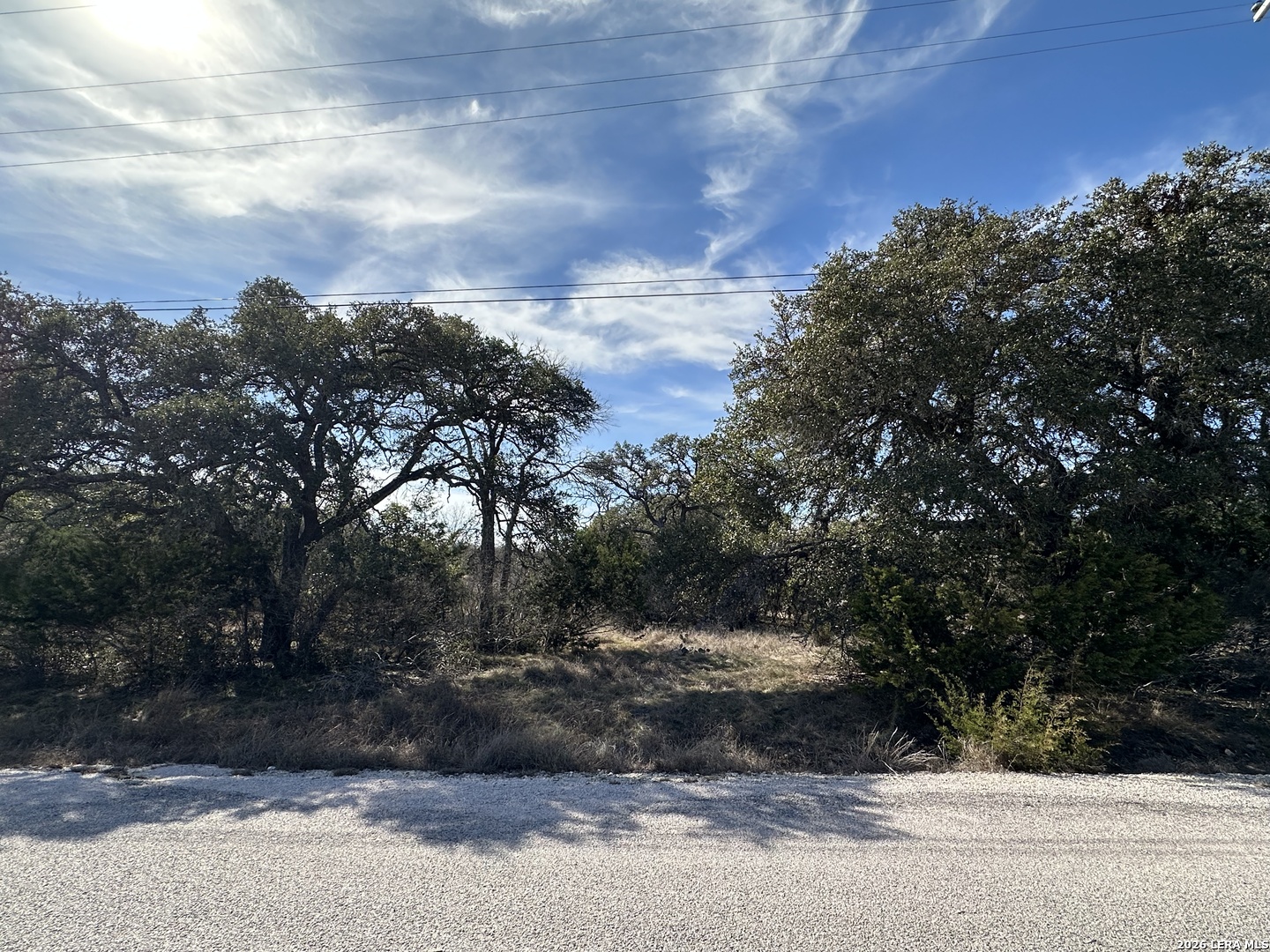 116 Ephram Mclane Blanco, TX 78606 - Photo 6 of 16 a view of a yard with a tree