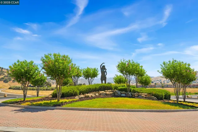 a view of a yard with palm trees