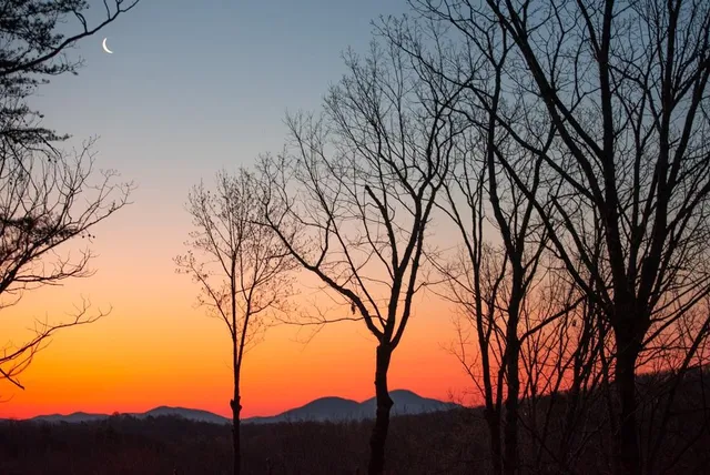 a view of mountain view with lots of trees