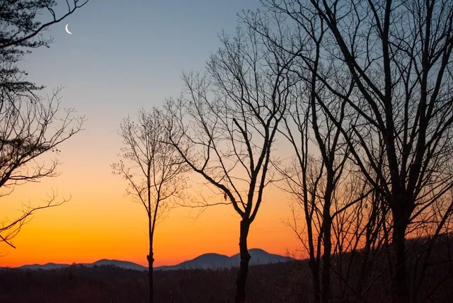 a view of mountain view with lots of trees