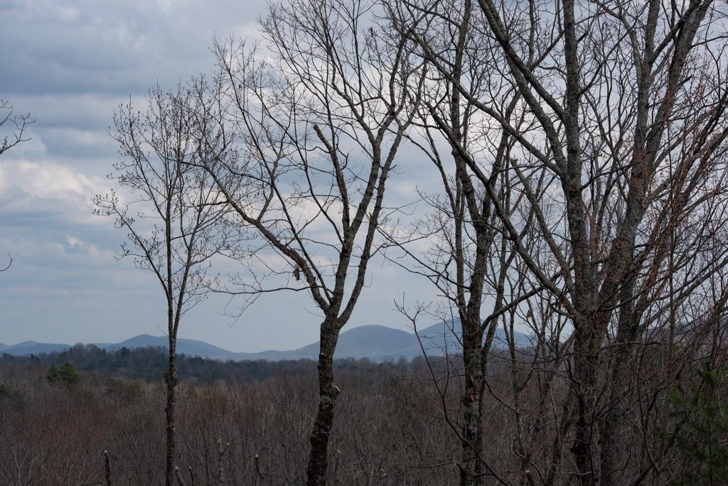 200 Huntington Place Dahlonega, GA 30533 - Photo 6 of 6 a view of mountain view with lots of trees