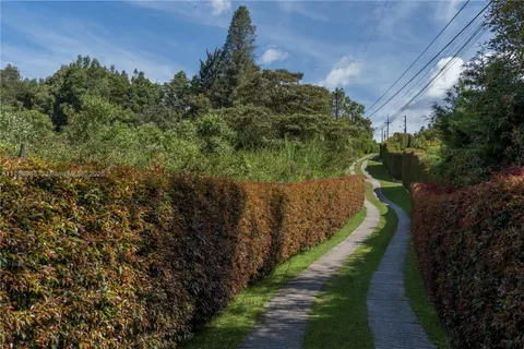 a view of a pathway in a garden