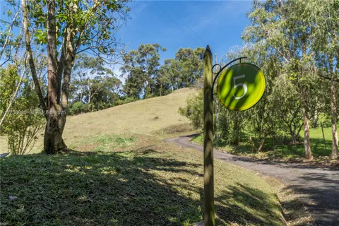 a view of a back yard