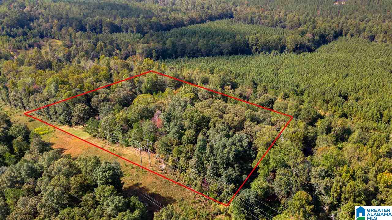 369 Kindling Ridge Road Deatsville, AL 36022 - Photo 49 of 49
