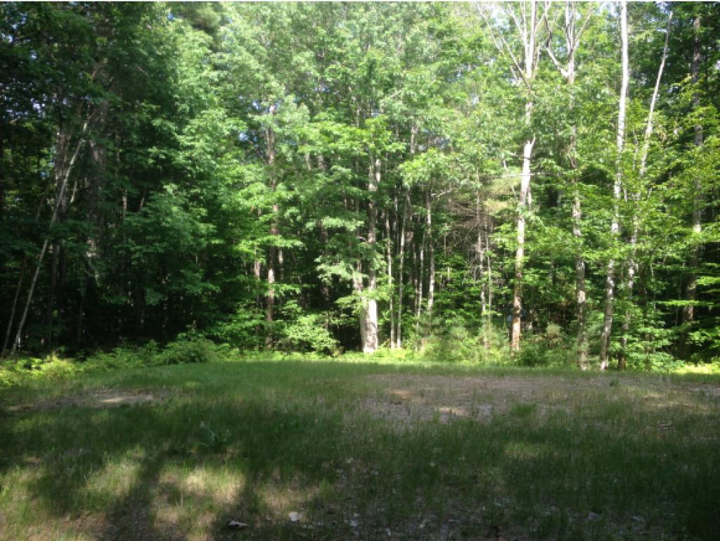 93 Willey Road Wakefield, NH 03872 - Photo 17 of 19 Gallery Image 17