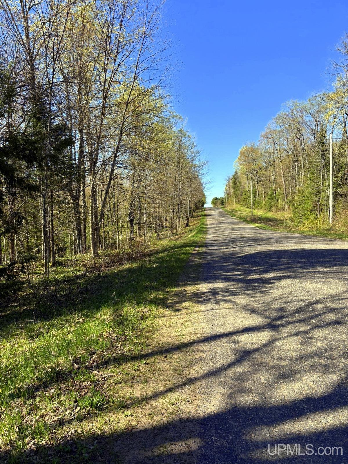 Tbd Tbd Townline Road Skandia, MI 49885 - Photo 30 of 58