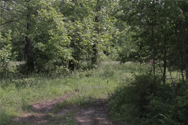 $319,000 | 0 East Veteran Road, Milo, MO 64767