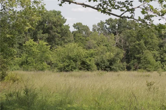 $319,000 | 0 East Veteran Road, Milo, MO 64767