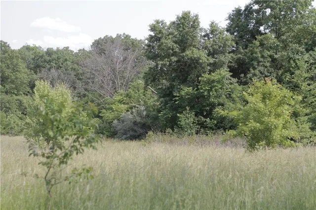 $319,000 | 0 East Veteran Road, Milo, MO 64767