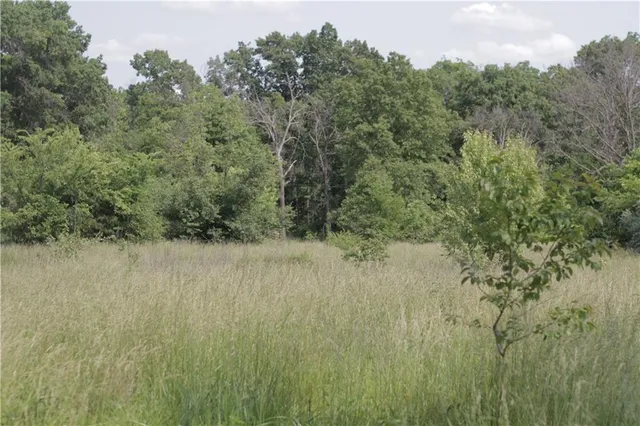 $319,000 | 0 East Veteran Road, Milo, MO 64767