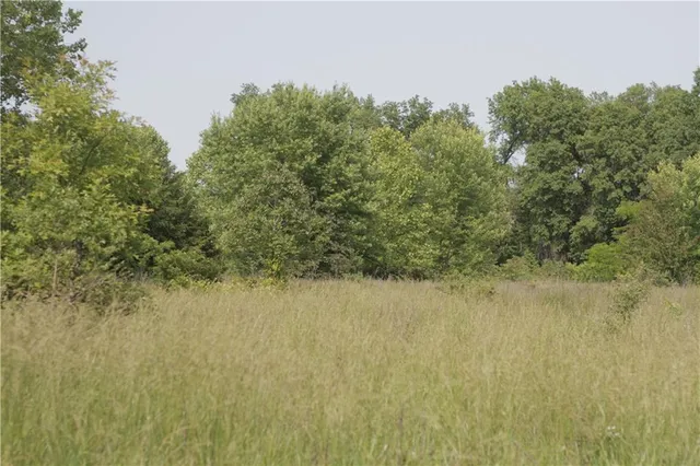 $319,000 | 0 East Veteran Road, Milo, MO 64767