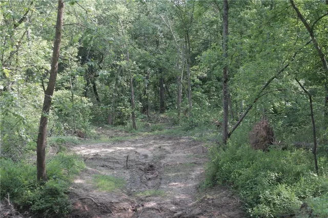 $319,000 | 0 East Veteran Road, Milo, MO 64767