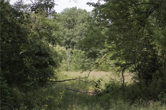 $319,000 | 0 East Veteran Road, Milo, MO 64767