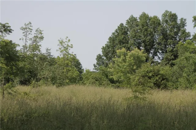 $319,000 | 0 East Veteran Road, Milo, MO 64767