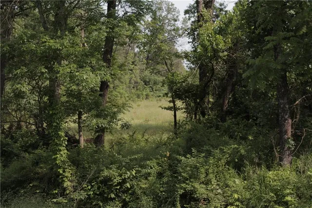 $319,000 | 0 East Veteran Road, Milo, MO 64767