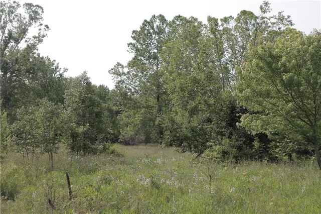 $319,000 | 0 East Veteran Road, Milo, MO 64767