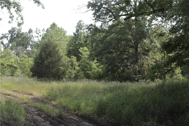 $319,000 | 0 East Veteran Road, Milo, MO 64767