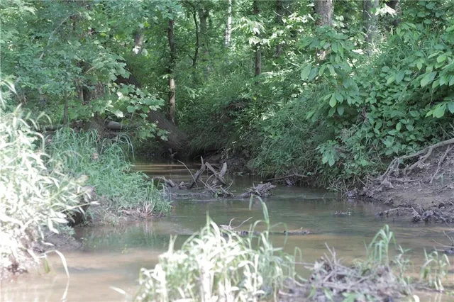 $319,000 | 0 East Veteran Road, Milo, MO 64767