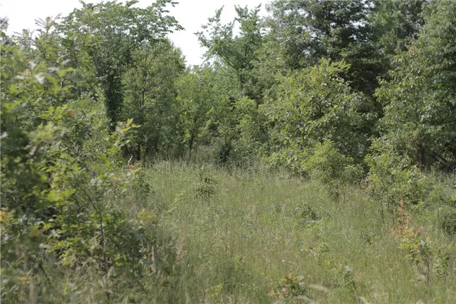 $319,000 | 0 East Veteran Road, Milo, MO 64767