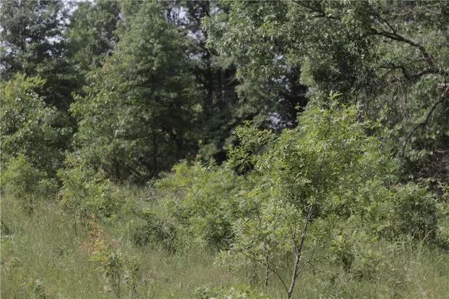 $319,000 | 0 East Veteran Road, Milo, MO 64767