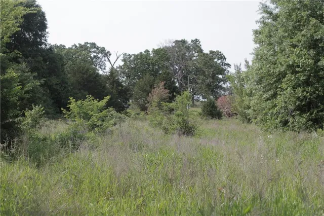 $319,000 | 0 East Veteran Road, Milo, MO 64767