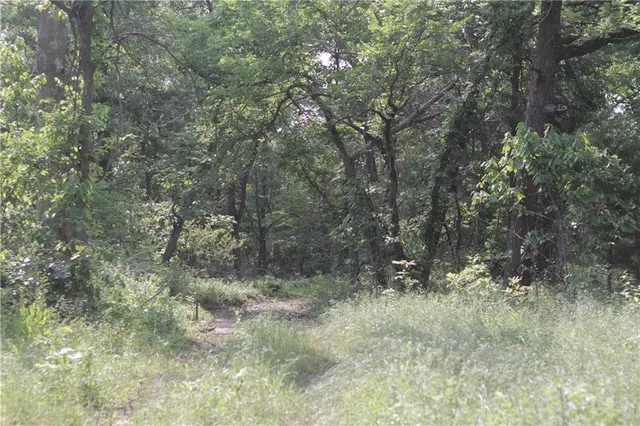 $319,000 | 0 East Veteran Road, Milo, MO 64767