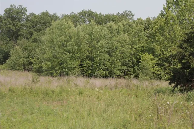 $319,000 | 0 East Veteran Road, Milo, MO 64767