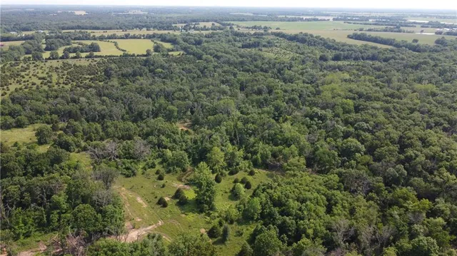 $319,000 | 0 East Veteran Road, Milo, MO 64767