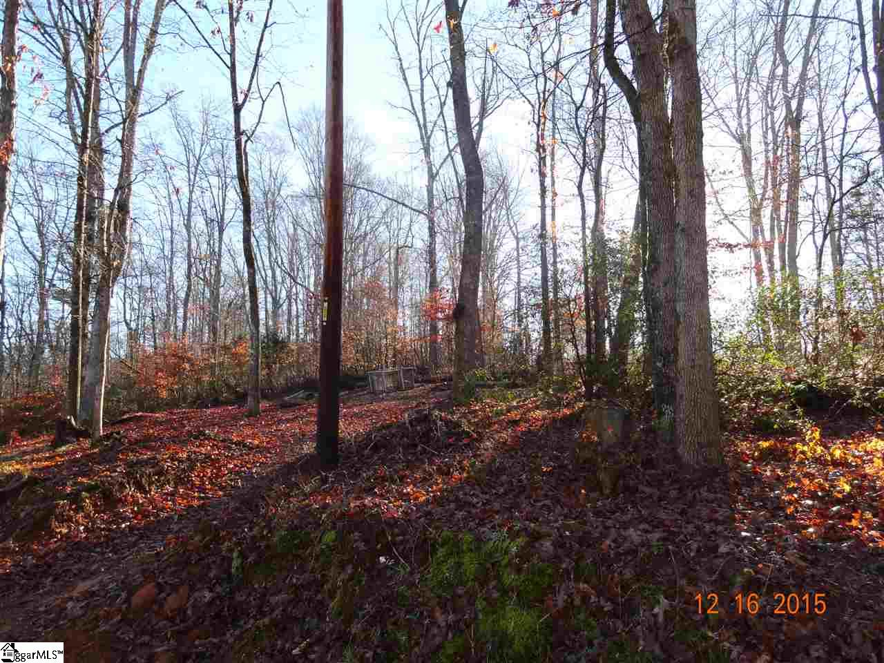 1711 Meece Mill Road Pickens, SC 29671 - Photo 11 of 16