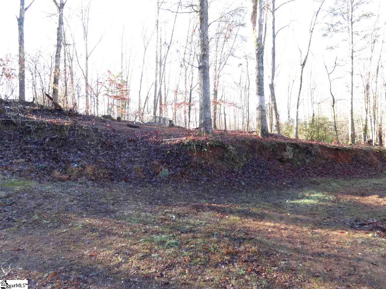 1711 Meece Mill Road Pickens, SC 29671 - Photo 15 of 16