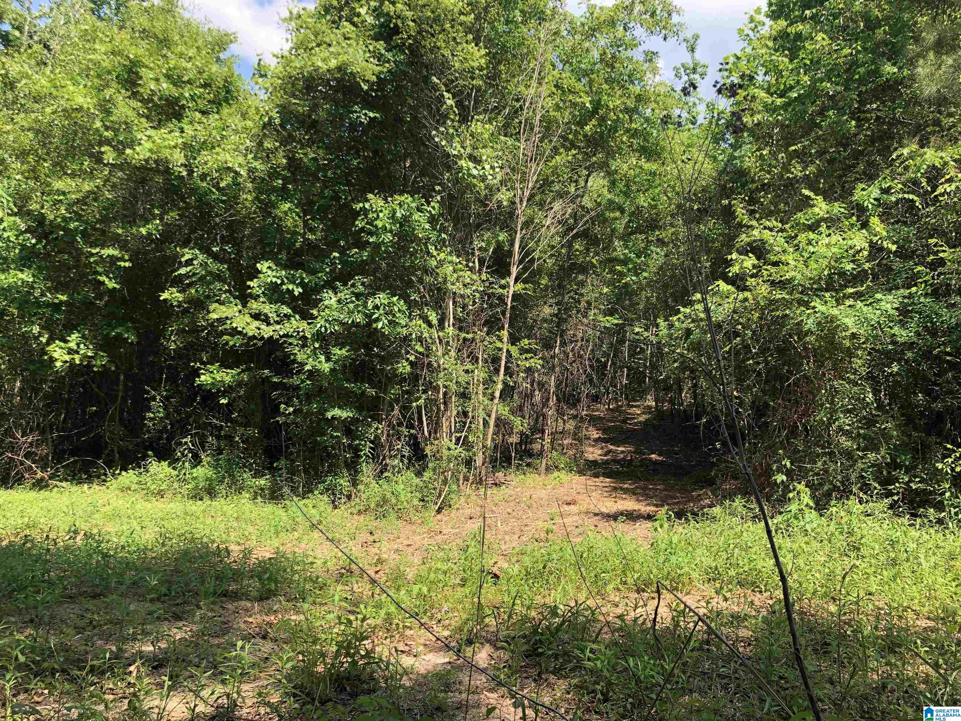 0 Peeks Hill Road, Unit 4 Ohatchee, AL 36271 - Photo 3 of 9