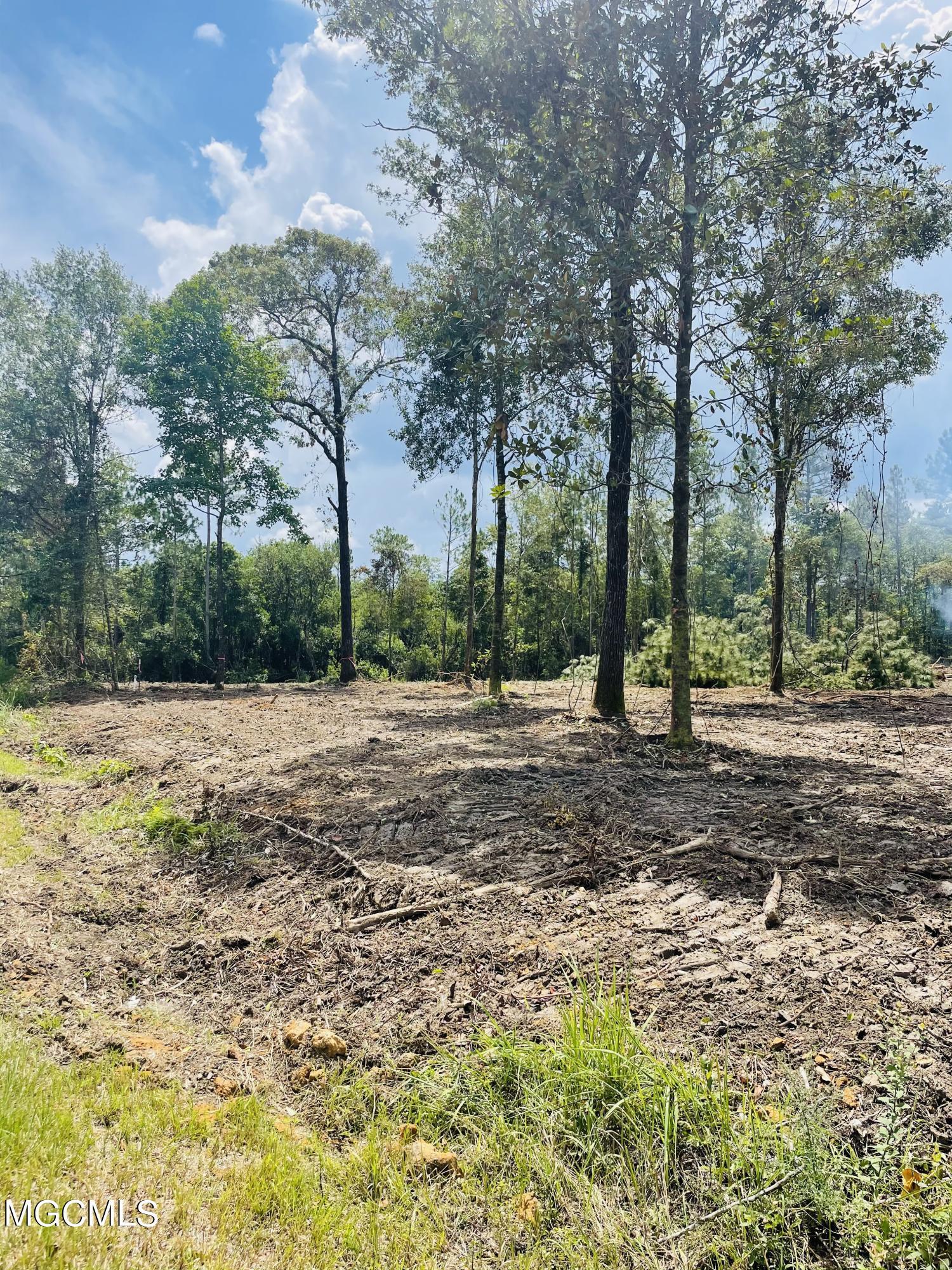 0 North Creek Road East Lucedale, MS 39452 - Photo 1 of 11 9331E272-D677-4F88-99A6-92D99F813B1A