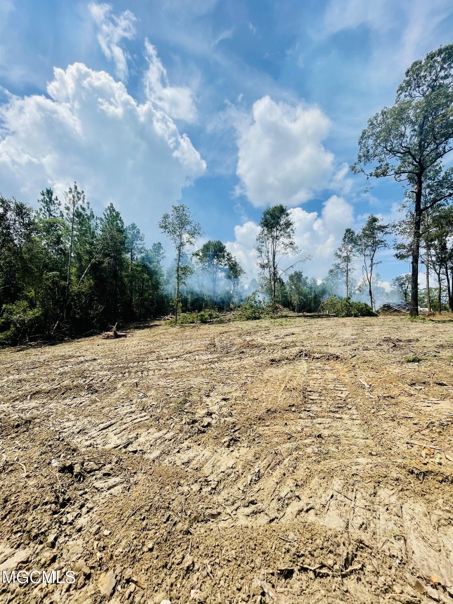0 North Creek Road East Lucedale, MS 39452 - Photo 2 of 11 46C5EC6E-6D78-4694-B537-B33657A23516