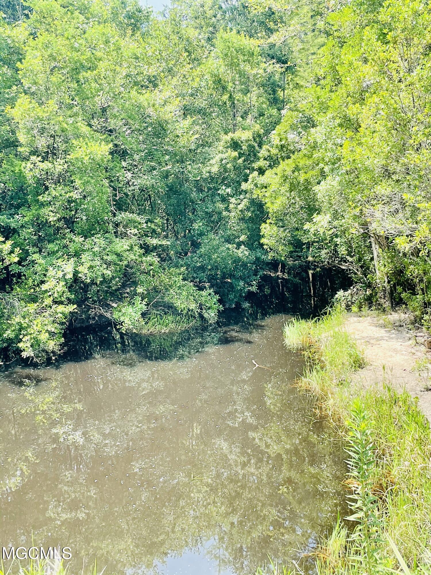 0 North Creek Road East Lucedale, MS 39452 - Photo 9 of 11 1854B7E5-AD44-4DD5-AFD8-79A52BB491D5