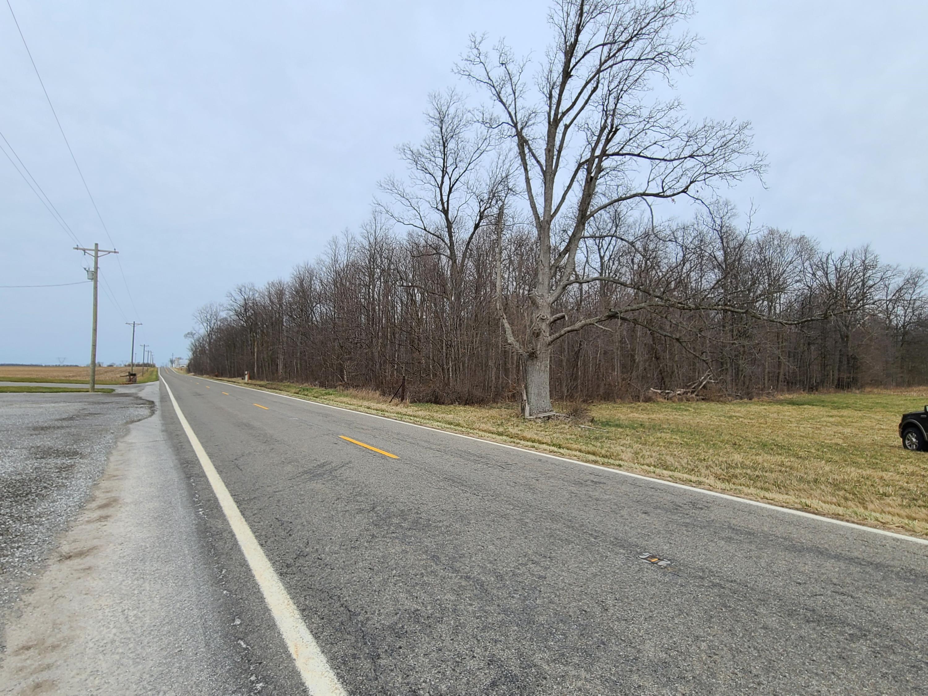 0 State Road Lakeview, OH 43331 - Photo 3 of 4