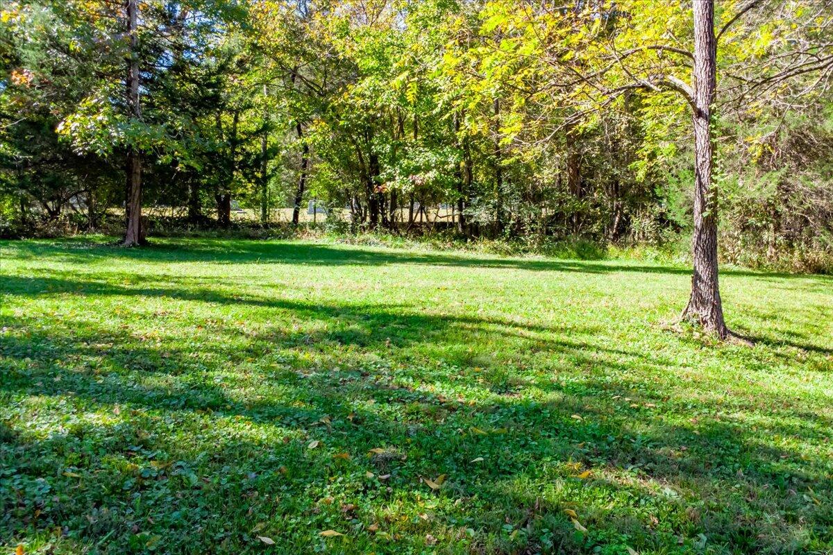 4534 Main Street Drakes Branch, VA 23937 - Photo 36 of 36 a view of field with trees in the background