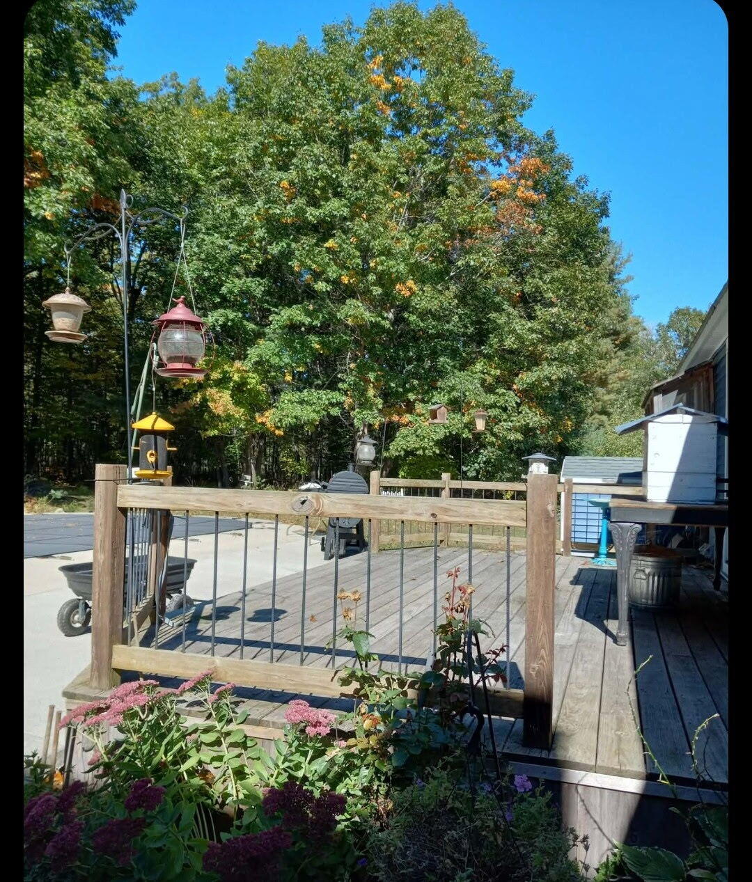 20 Rowdy Lane Burnham, ME 04922 - Photo 9 of 39 1000017808